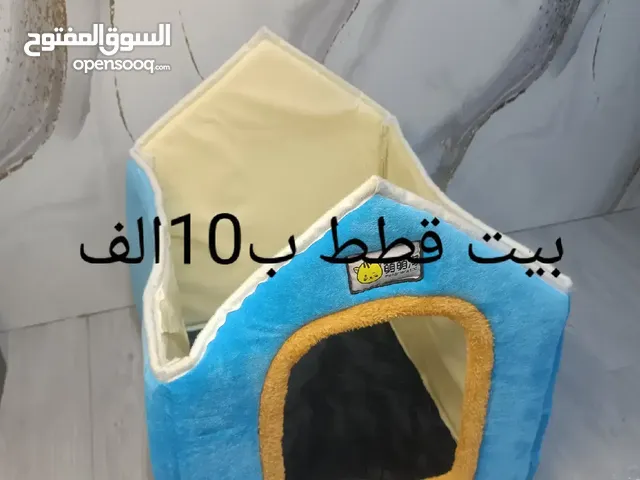 بيت قطط .....