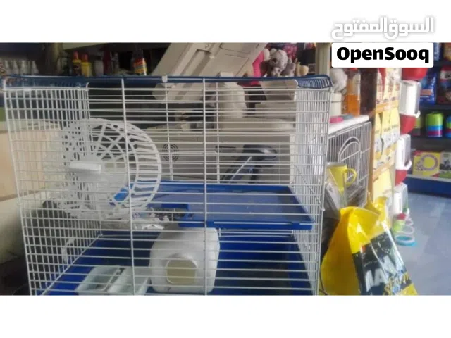 هامستر روسي وسوري للبيع جواز شغاله جواز حوامل بكجج كامل مع توصيل