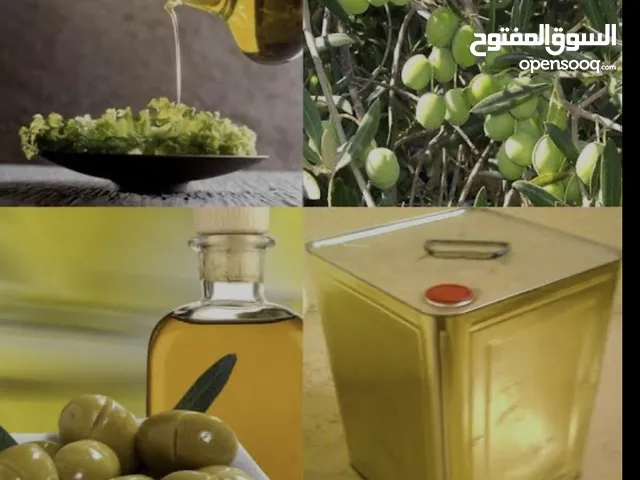 زيت زيتون فلسطيني بكر عصرة أولى نخب درجة أولى من الأرض المباركة  إنتاج السنة 2024/2025
