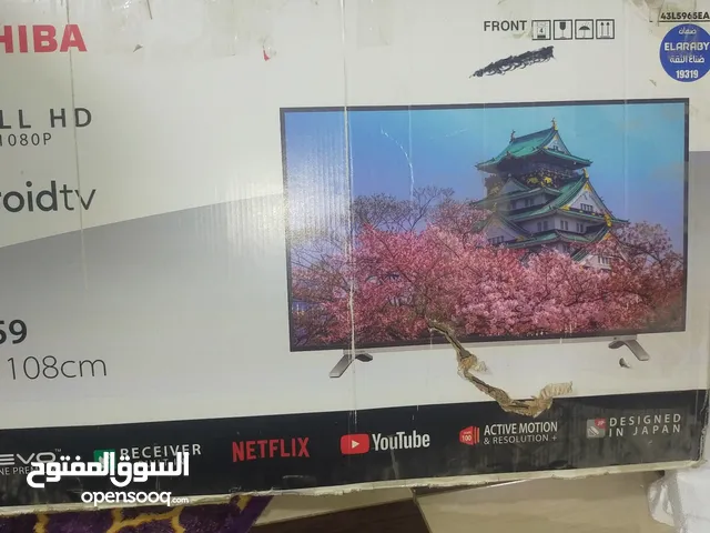 Toshiba Smart 43 inch TV in Alexandria