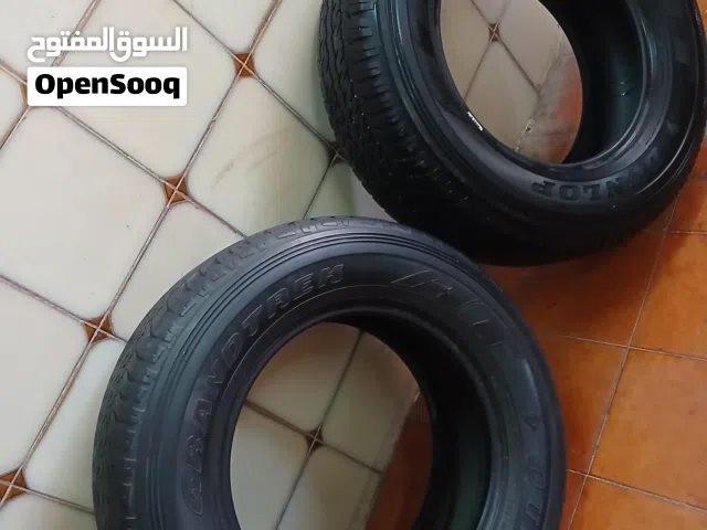 اطارات دنلوب 17