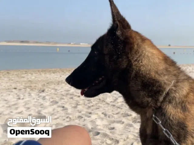 ملنوا العمر 9 شهور