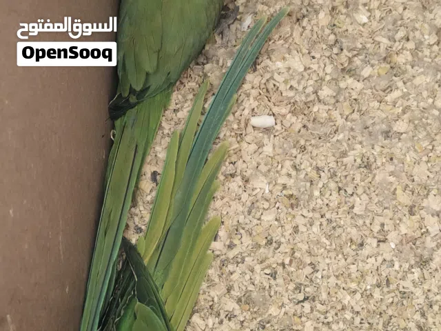 تابع وصف دره