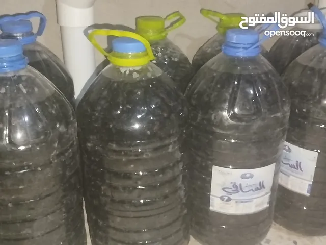 زيتون ملاحي درجة اولي