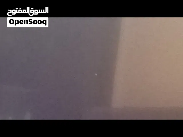 بلابل زوجين.. زوج طيور حب وية الفرخ