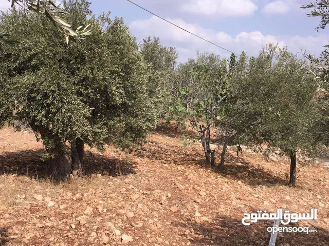 Mixed Use Land for Sale in Ramallah and Al-Bireh Bil'in
