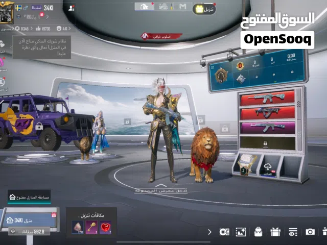 Pubg Accounts and Characters for Sale in Jazan