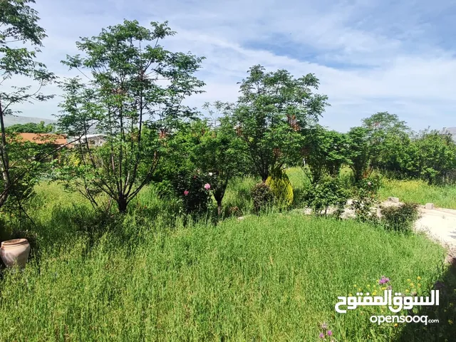 2 Bedrooms Farms for Sale in Sulaymaniyah Other