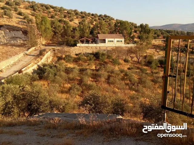 2 Bedrooms Farms for Sale in Jerash Kufair