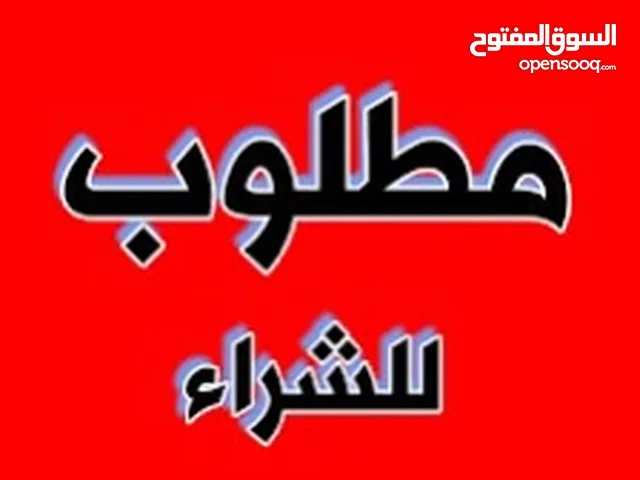 السلام عليكم
