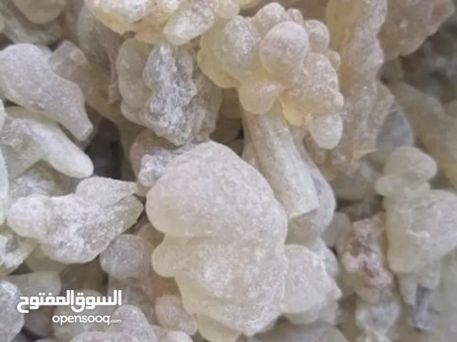 اذا تريد الحوده والفايده. في اللبان الحوجري السلطاني مال الاكل والعلاج والتنقيع. وللبشره كمان
