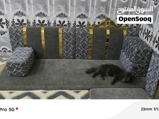 جلسه 4 امتار كلش نظيفه