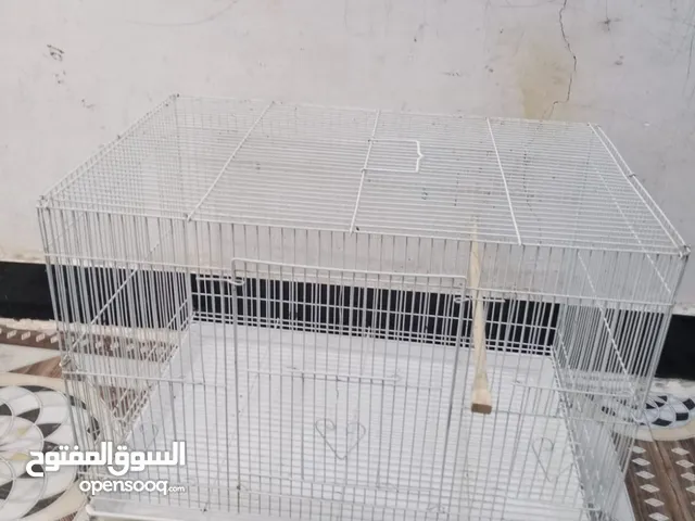 متاح قفص أبيض