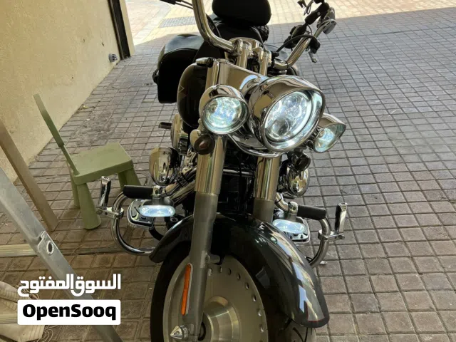 2008 هارلي ديفيدسون Fat Boy