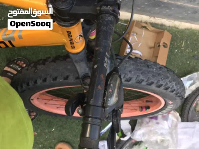 benaiqi fat bike