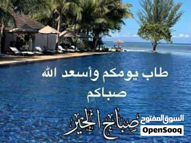 شقة نصف مفروشة للأيجار عمارات الضمان سانية عزيزة