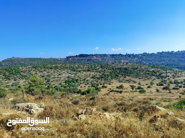 ارض في ام صفا بسعر مغري جدااا