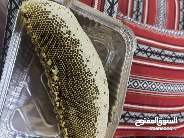 عسل سدر بو طويق مطلوب 70