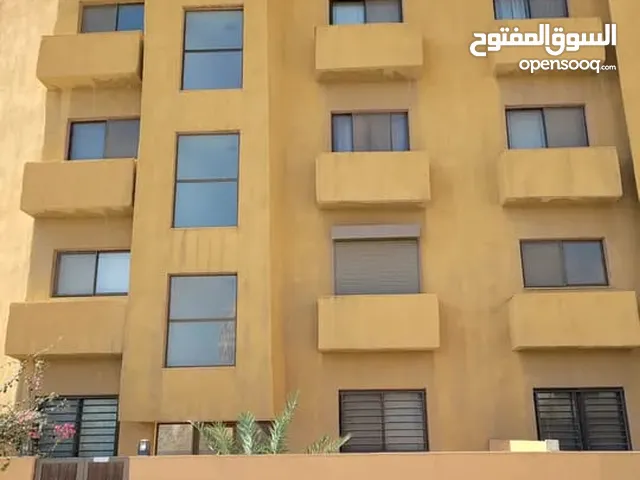81 m2 2 Bedrooms Apartments for Rent in Jordan Valley Dead Sea