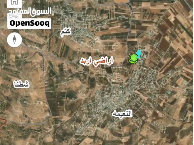 ارض مستوية مشجرة زيتون