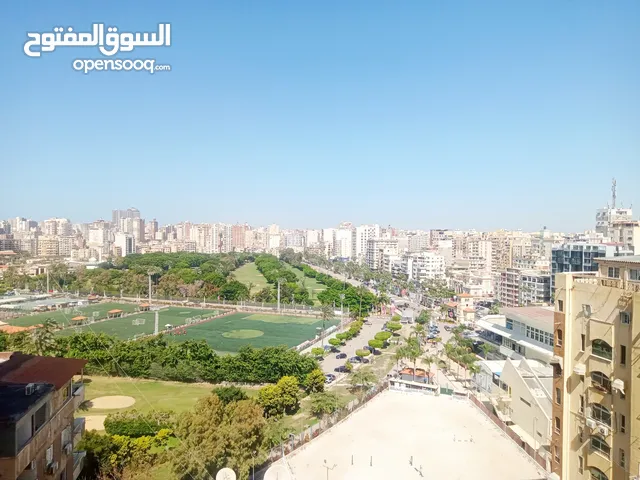 360 m2 4 Bedrooms Apartments for Sale in Alexandria Sporting