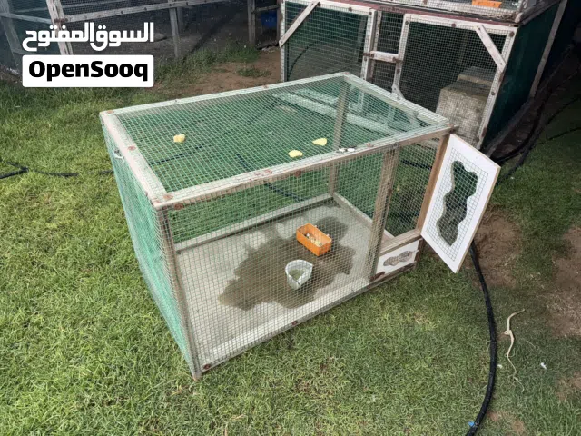 Cages and other stuff for sale