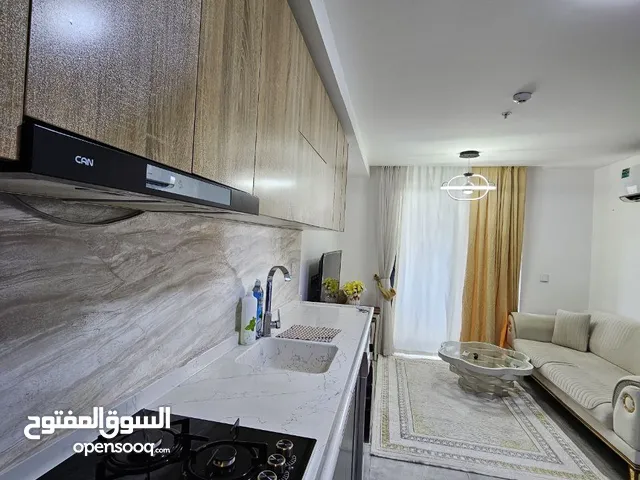 73 m2 1 Bedroom Apartments for Rent in Erbil Sarbasti