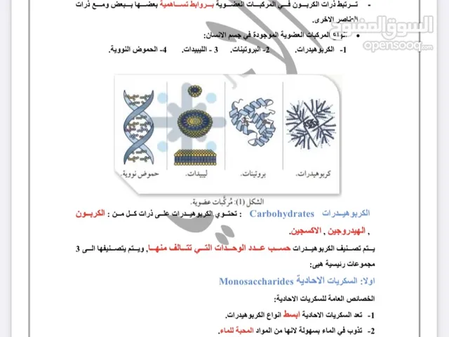 Other in Irbid