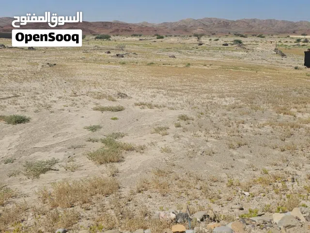 Farm Land for Sale in Al Dakhiliya Bahla