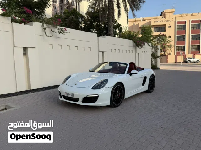 2013 Porsche Other Other