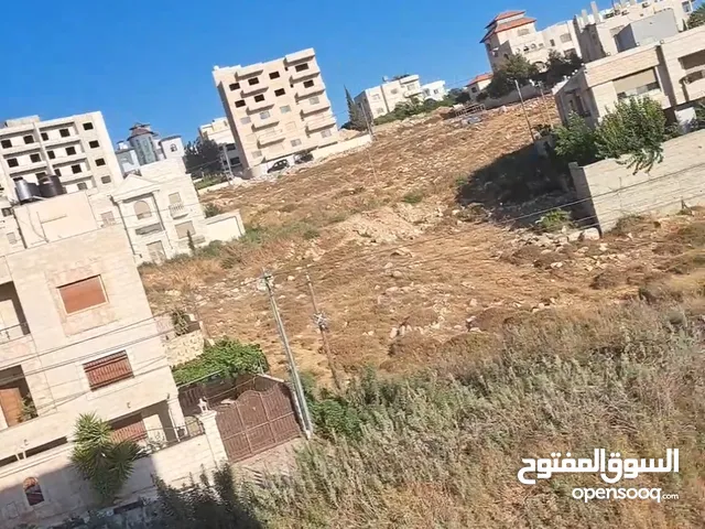 شقة عظم في أجمل مناطق نابلس