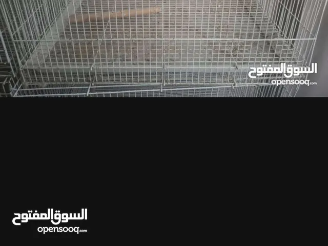 birds cage