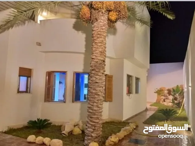 75 ft Studio Townhouse for Rent in Tripoli Ain Zara