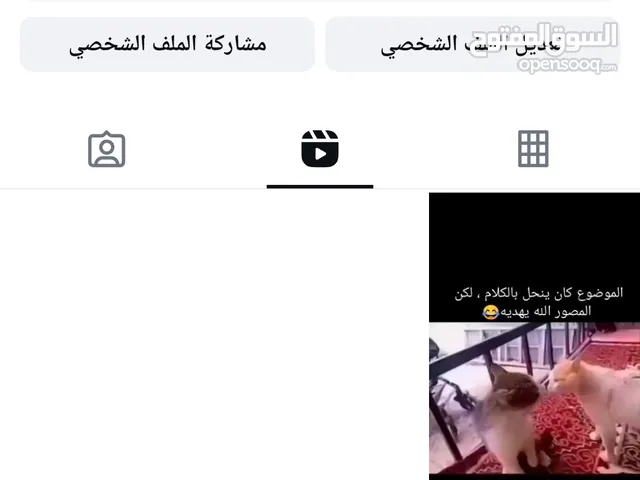 Social Media Accounts and Characters for Sale in Tabuk