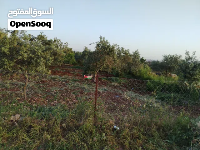 Residential Land for Sale in Irbid Jajin