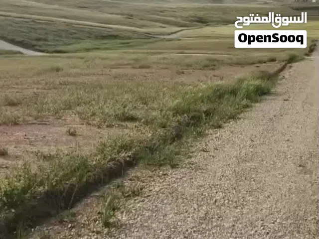 Mixed Use Land for Sale in Amman Madonna