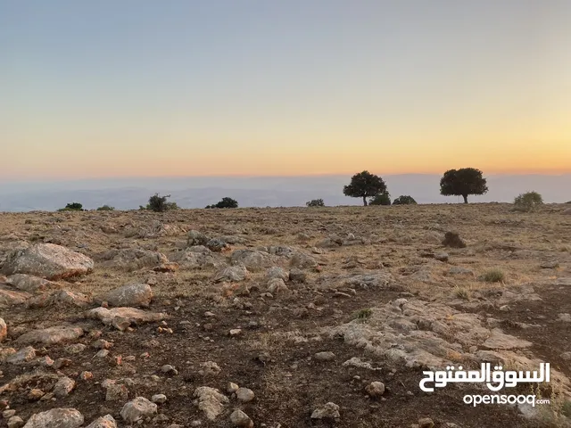 قطعه ارض مميزه بإطلاله بانوراما فلسطين