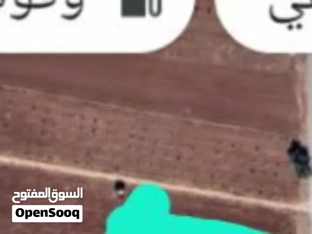 من اراضي الرمثاقطعة أرض مساحتها 18  دونم مفروزة بقوشان مستقل حوض قطعة حمد الشماليه سعر الدونم 14.00