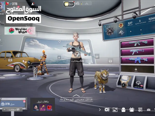 Pubg Accounts and Characters for Sale in Al Batinah