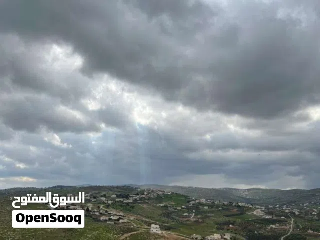 Farm Land for Sale in Zarqa Sarout