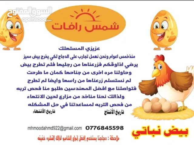 بيض طازج يوميا واصل لمحلك او مطعمك