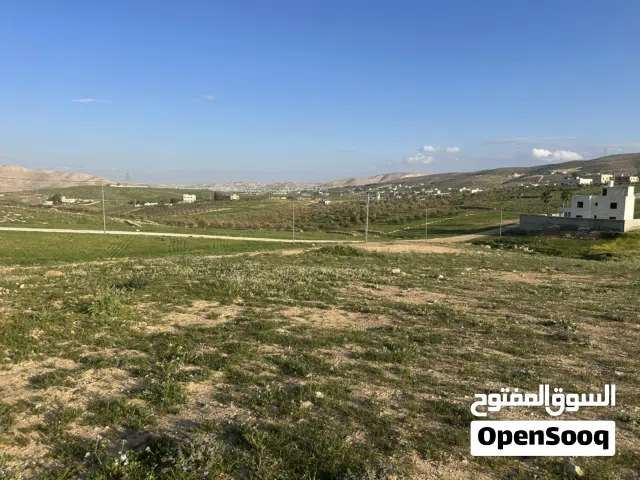 Farm Land for Sale in Zarqa Sarout