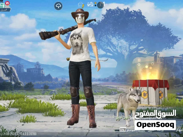 حسا ببجي للبيع