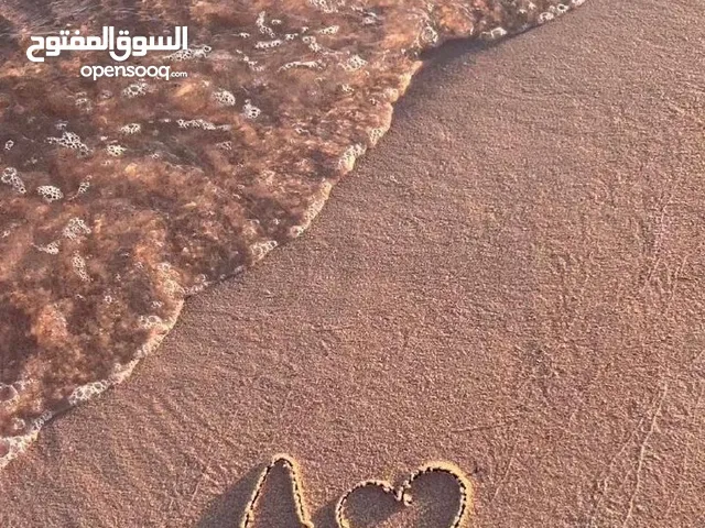 مطلوب بيت للايجار يكون نضيف وقرب الخدمات