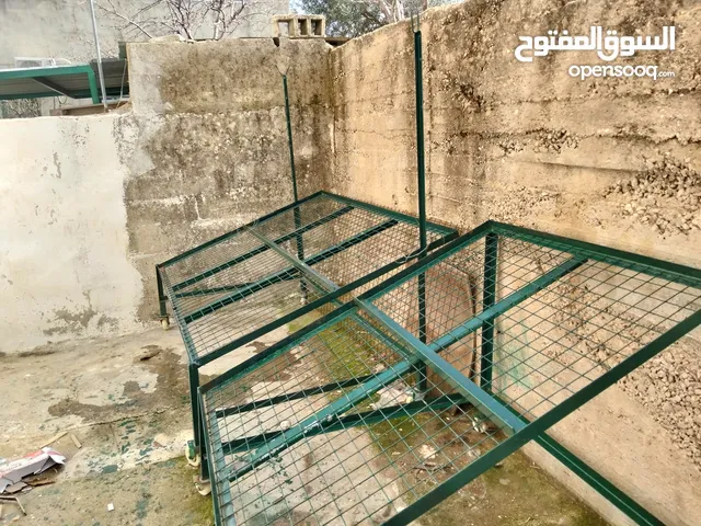 استاند عرض لمحلات الخضار والفواكة جودة ممتازة للبيع قابل للتفاوض