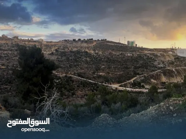 ارض طابو للبيع- رام الله-المزرعة مقابل الريحان -موقع مميز