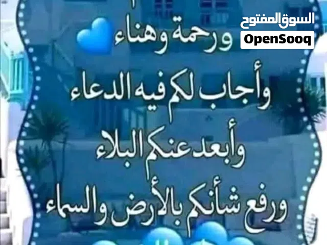 فحم زيتون للبيع