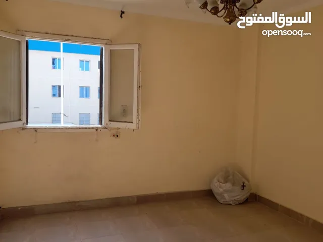 شقه للايجار في الشيخ زايد