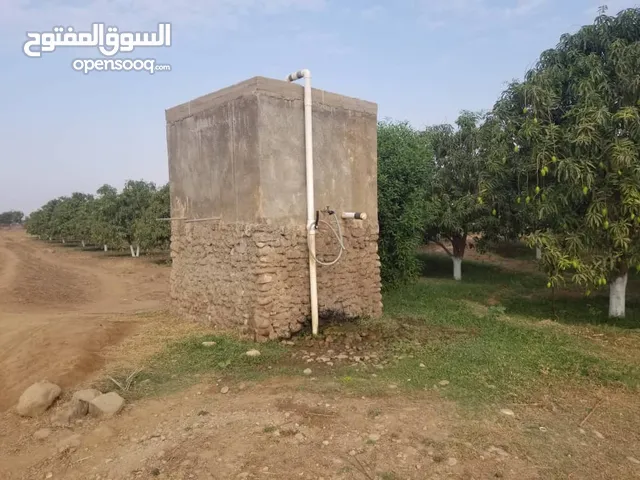 5 Bedrooms Farms for Sale in Al Hudaydah Other