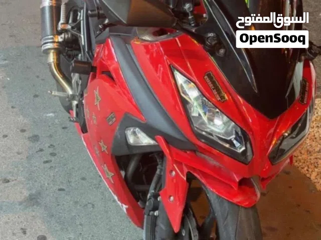 كاوساكي نينجا 300